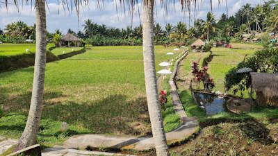 Ubud, het culturele centrum van Bali