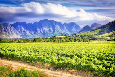 Weinproben und Luxusreisen