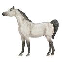 tour category: Horse