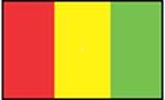 flag 巴布亚新几内亚