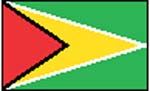 flag 圭亚那