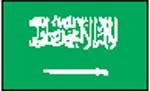 flag 沙特阿拉伯