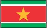 flag 苏里南